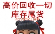 长期回收厂家积压库存果蔬粉 回收甘蔗粉13673108955