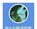 老中医说......